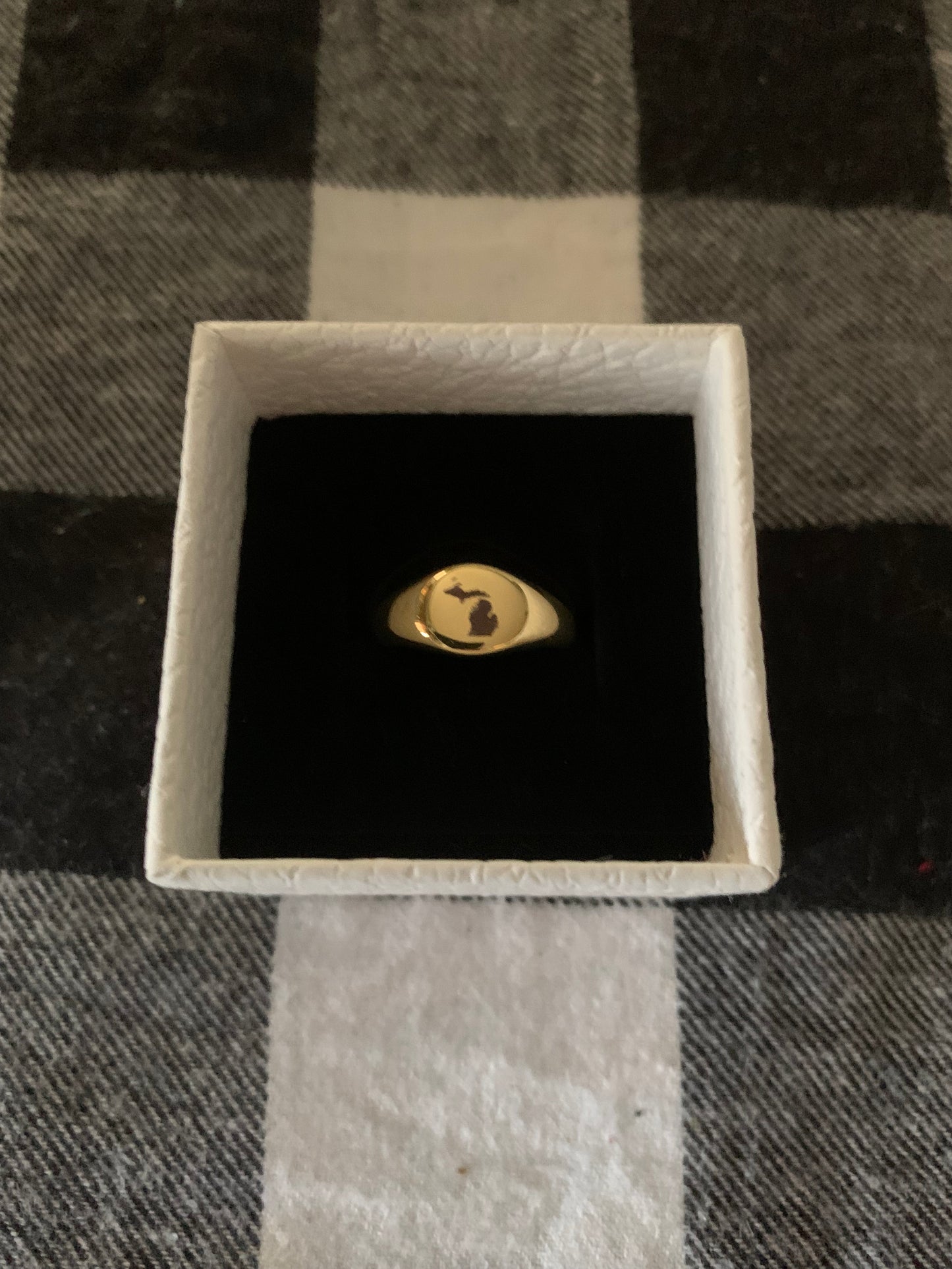 Sterling Silver Adjustable Michigan Signet Ring – Women’s .925 State Pride Jewelry